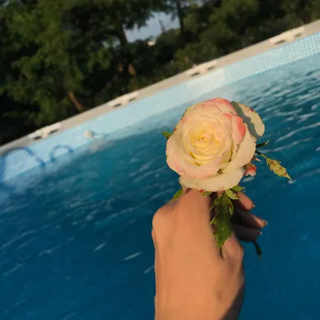 Pensiunea Minodora Pensión